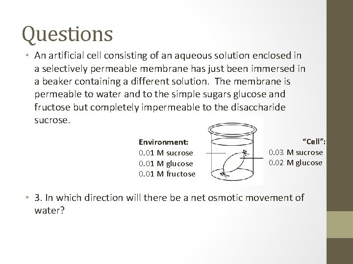 Questions • An artificial cell consisting of an aqueous solution enclosed in a selectively