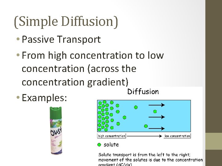 (Simple Diffusion) • Passive Transport • From high concentration to low concentration (across the