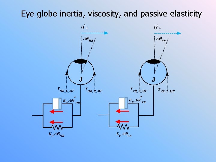 Eye globe inertia, viscosity, and passive elasticity 