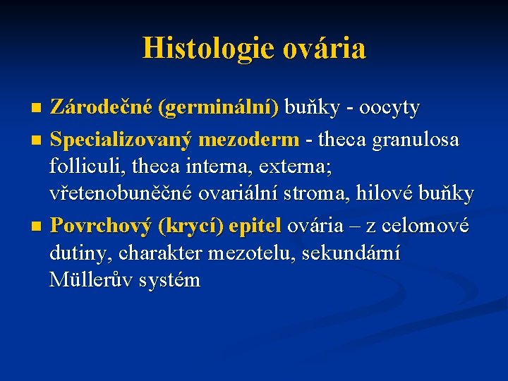 Histologie ovária Zárodečné (germinální) buňky - oocyty n Specializovaný mezoderm - theca granulosa folliculi,