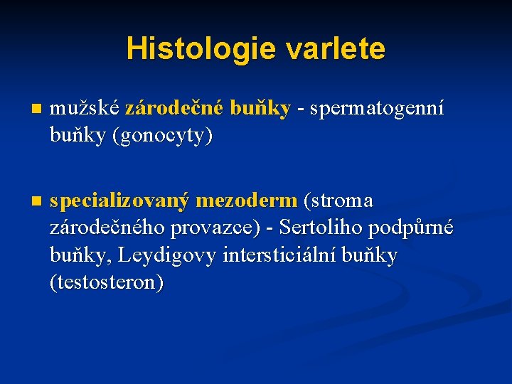 Histologie varlete n mužské zárodečné buňky - spermatogenní buňky (gonocyty) n specializovaný mezoderm (stroma