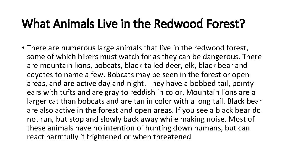 What Animals Live in the Redwood Forest? • There are numerous large animals that