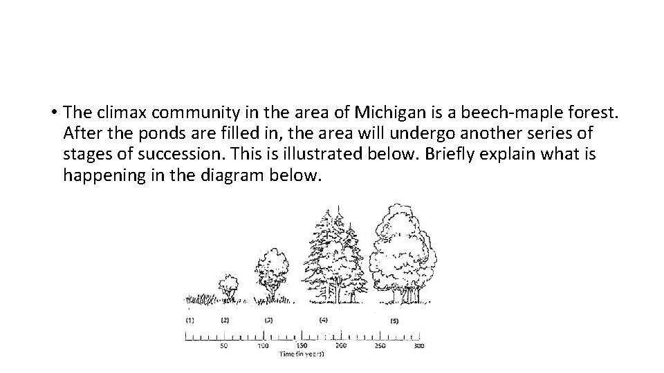  • The climax community in the area of Michigan is a beech-maple forest.