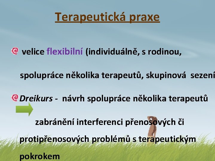 Terapeutická praxe velice flexibilní (individuálně, s rodinou, spolupráce několika terapeutů, skupinová sezení Dreikurs -