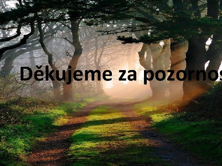 Děkujeme za pozornos 