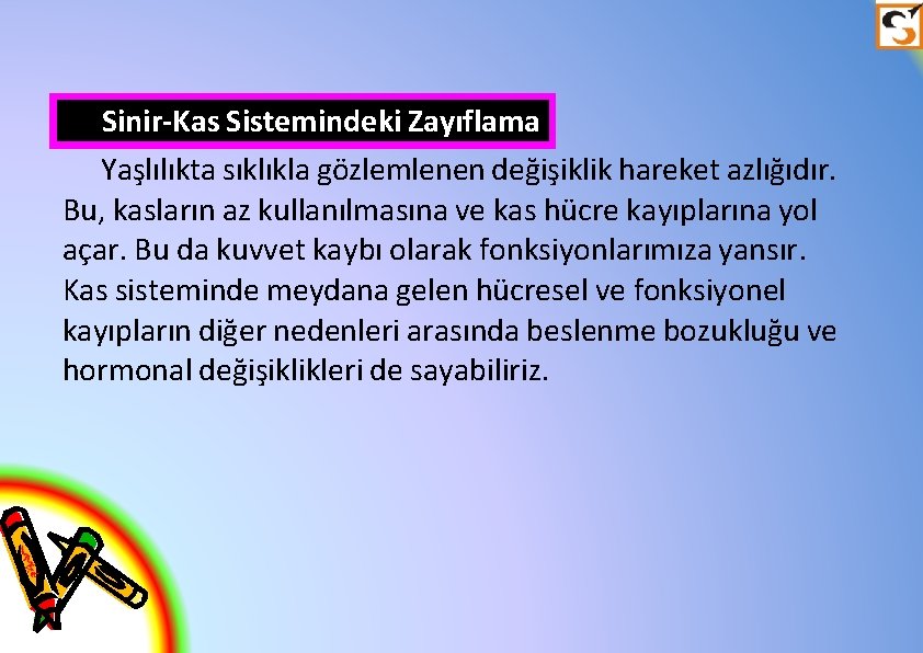 Sinir-Kas Sistemindeki Zayıflama Yaşlılıkta sıklıkla gözlemlenen değişiklik hareket azlığıdır. Bu, kasların az kullanılmasına ve