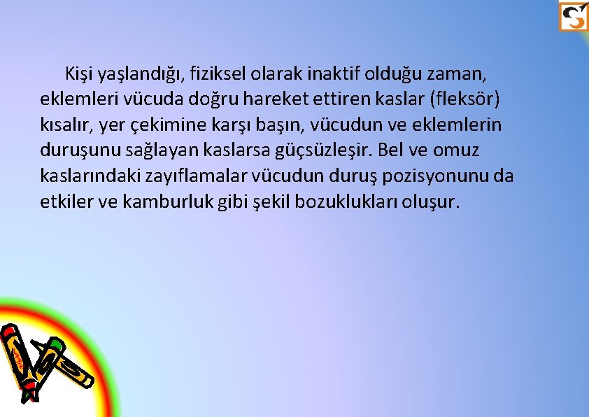 Kişi yaşlandığı, fiziksel olarak inaktif olduğu zaman, eklemleri vücuda doğru hareket ettiren kaslar (fleksör)