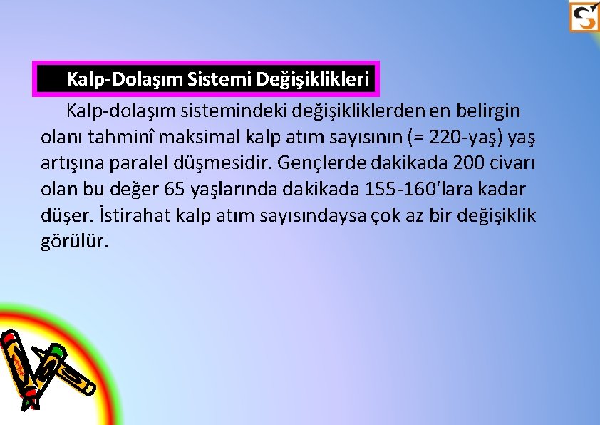 Kalp-Dolaşım Sistemi Değişiklikleri Kalp-dolaşım sistemindeki değişikliklerden en belirgin olanı tahminî maksimal kalp atım sayısının