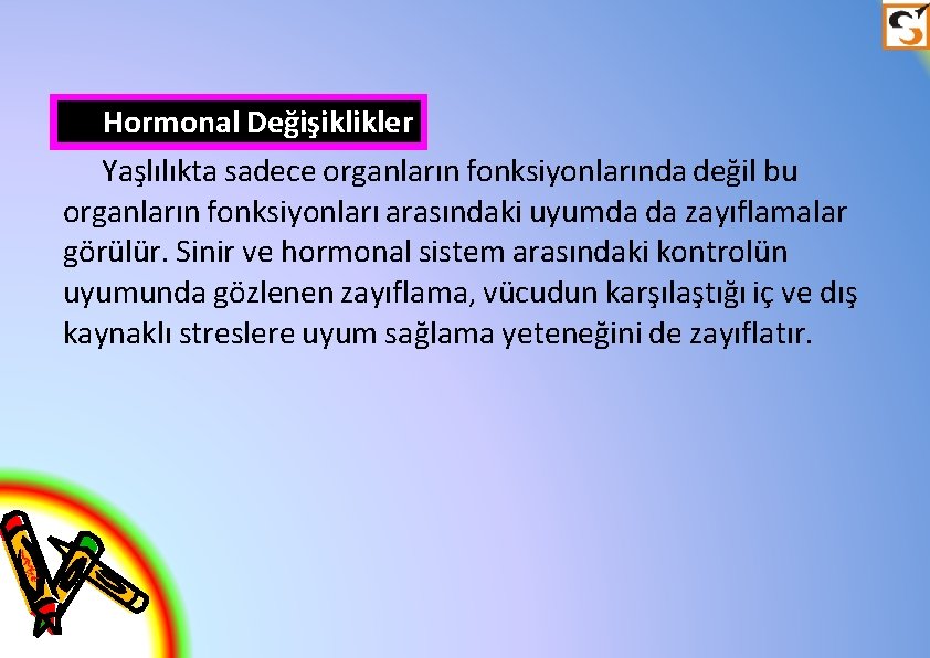 Hormonal Değişiklikler Yaşlılıkta sadece organların fonksiyonlarında değil bu organların fonksiyonları arasındaki uyumda da zayıflamalar