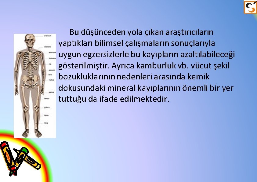 Bu düşünceden yola çıkan araştırıcıların yaptıkları bilimsel çalışmaların sonuçlarıyla uygun egzersizlerle bu kayıpların azaltılabileceği