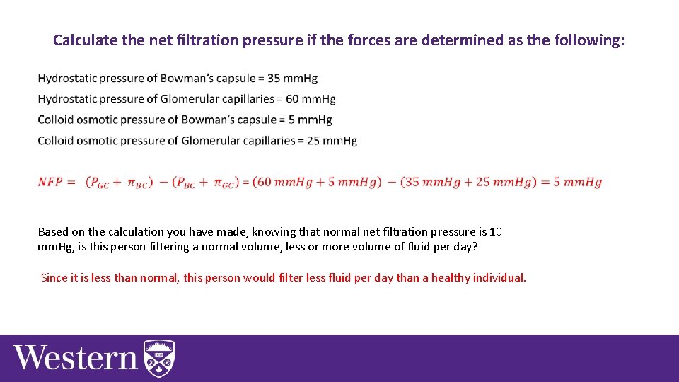 Calculate the net filtration pressure if the forces are determined as the following: •