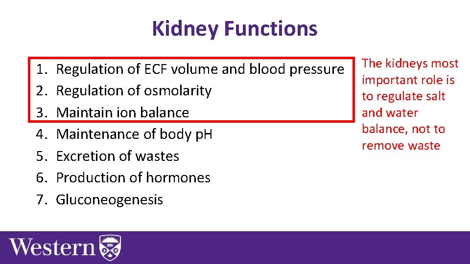 Kidney Functions 1. 2. 3. 4. 5. 6. 7. Regulation of ECF volume and