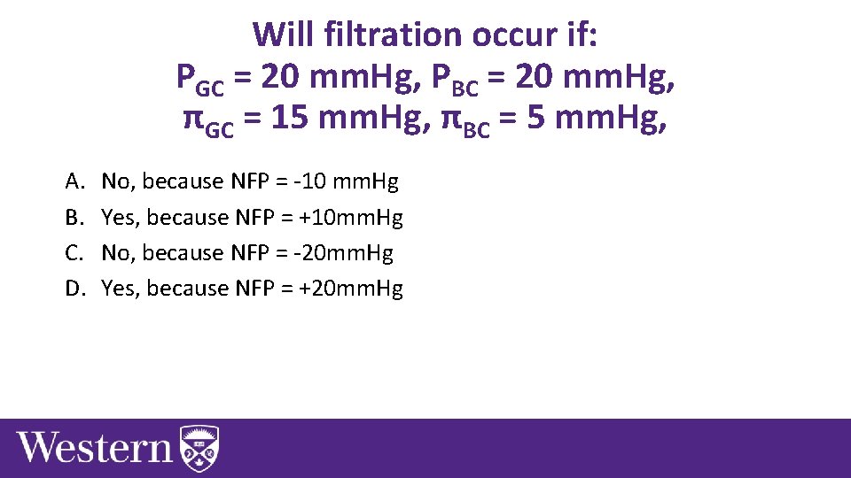 Will filtration occur if: PGC = 20 mm. Hg, PBC = 20 mm. Hg,