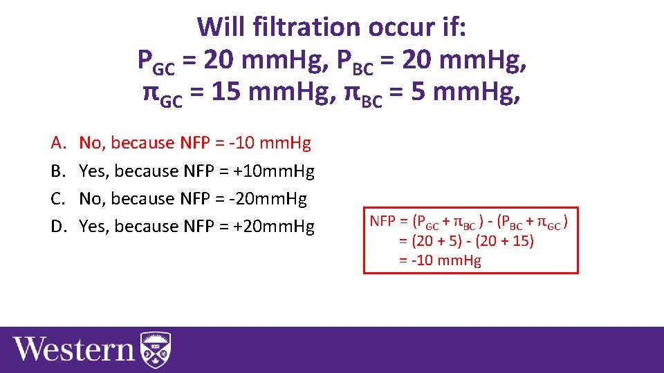 Will filtration occur if: PGC = 20 mm. Hg, PBC = 20 mm. Hg,