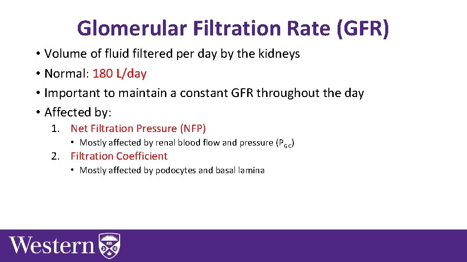 Glomerular Filtration Rate (GFR) • Volume of fluid filtered per day by the kidneys