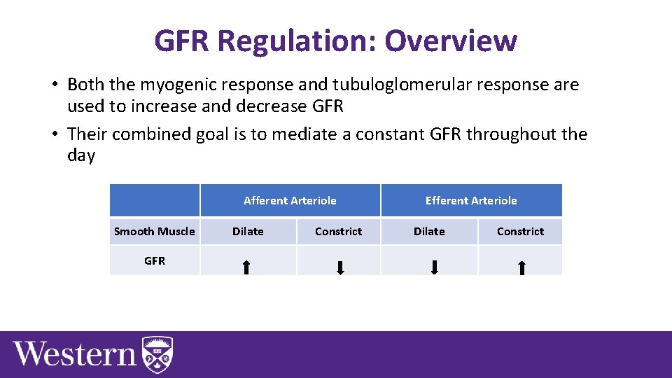 GFR Regulation: Overview • Both the myogenic response and tubuloglomerular response are used to