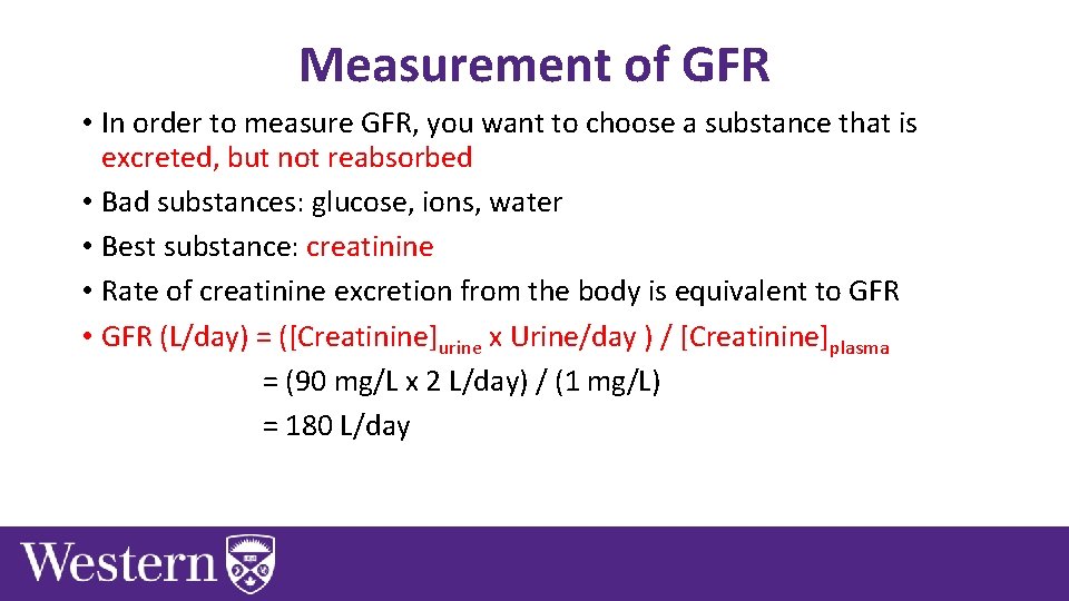 Measurement of GFR • In order to measure GFR, you want to choose a