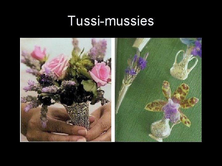 Tussi-mussies 
