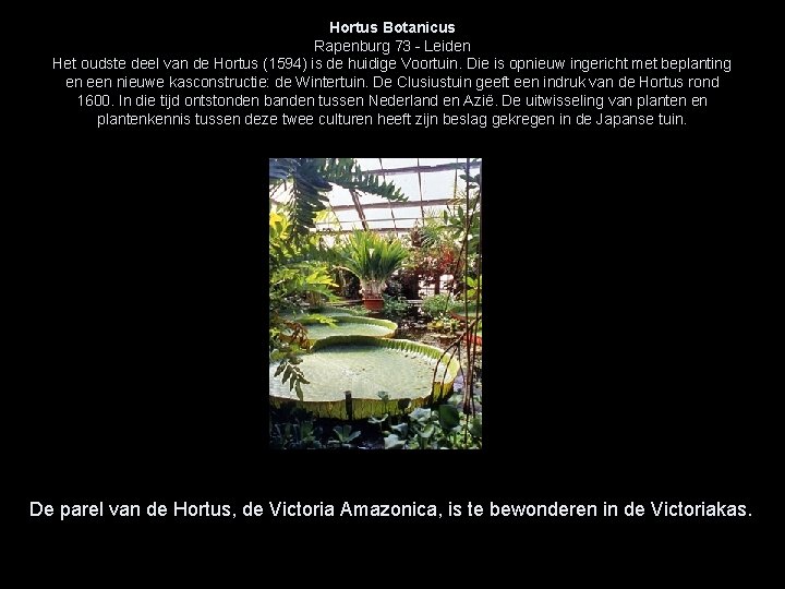 Hortus Botanicus Rapenburg 73 - Leiden Het oudste deel van de Hortus (1594) is