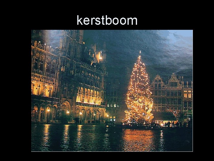 kerstboom 