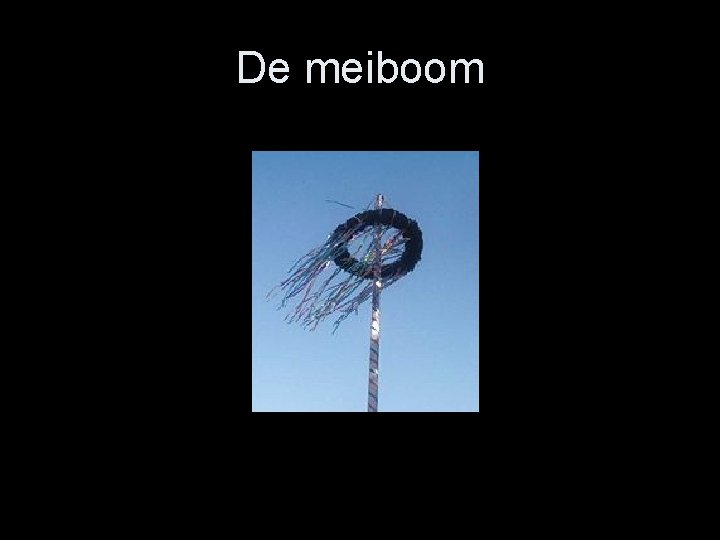 De meiboom 