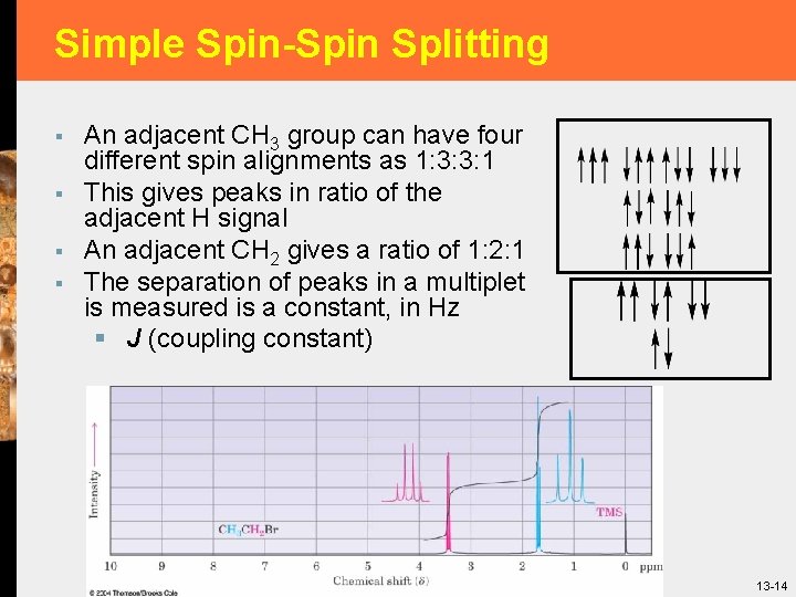 Simple Spin-Spin Splitting § § An adjacent CH 3 group can have four different