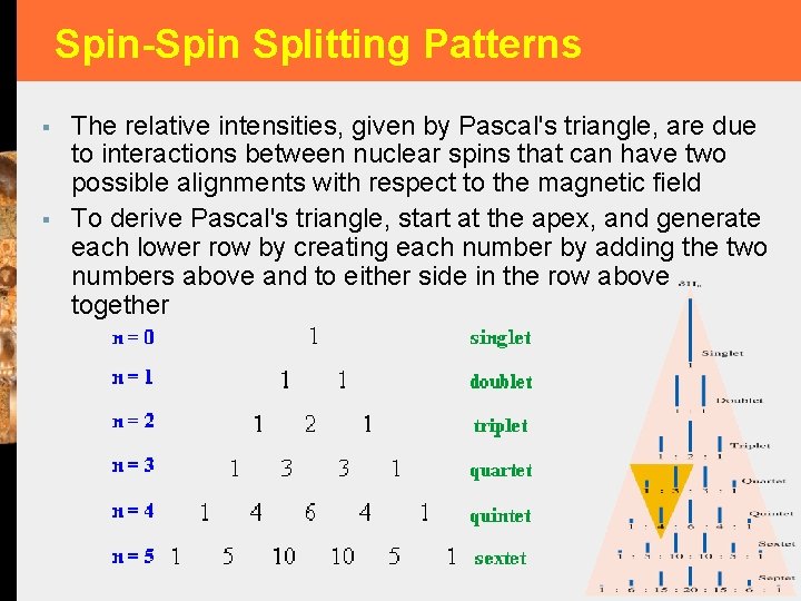 Spin-Spin Splitting Patterns § § The relative intensities, given by Pascal's triangle, are due