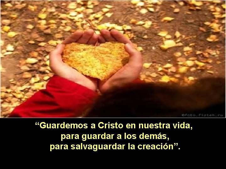 “Guardemos a Cristo en nuestra vida, para guardar a los demás, para salvaguardar la