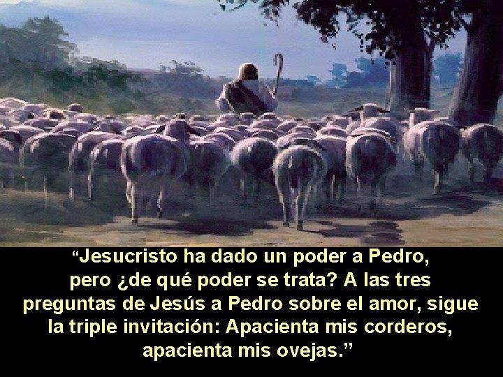 “Jesucristo ha dado un poder a Pedro, pero ¿de qué poder se trata? A