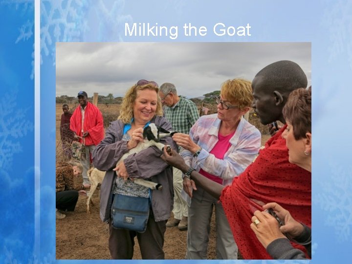 Milking the Goat Milking the Goat