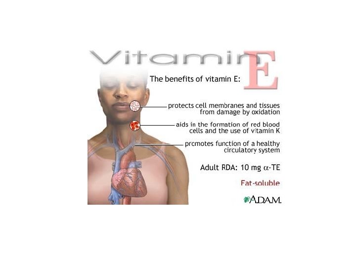 Vitamin E Natural Compounds Alphatocopherol A K A