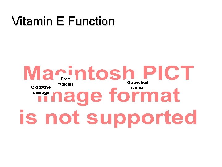 Vitamin E Function Oxidative damage Free radicals Quenched radical 