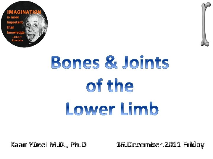 Kaan Yücel M. D. , Ph. D 16. December. 2011 Friday 