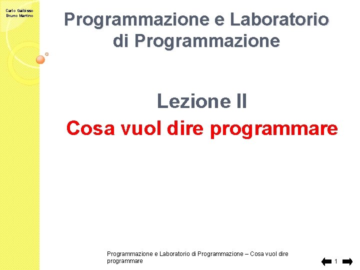 Carlo Gaibisso Bruno Martino Programmazione e Laboratorio di Programmazione Lezione II Cosa vuol dire