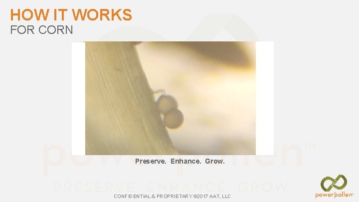 HOW IT WORKS FOR CORN Preserve. Enhance. Grow. CONFIDENTIAL & PROPRIETARY © 2017 AAT,