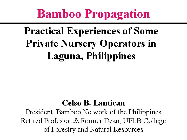 Bamboo Propagation Practical Experiences of Some Private Nursery Operators in Laguna, Philippines Celso B.