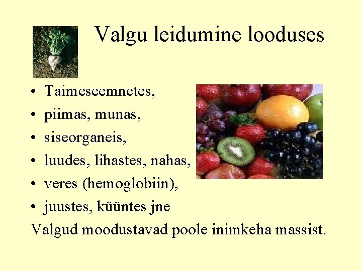 Valgu leidumine looduses • Taimeseemnetes, • piimas, munas, • siseorganeis, • luudes, lihastes, nahas,