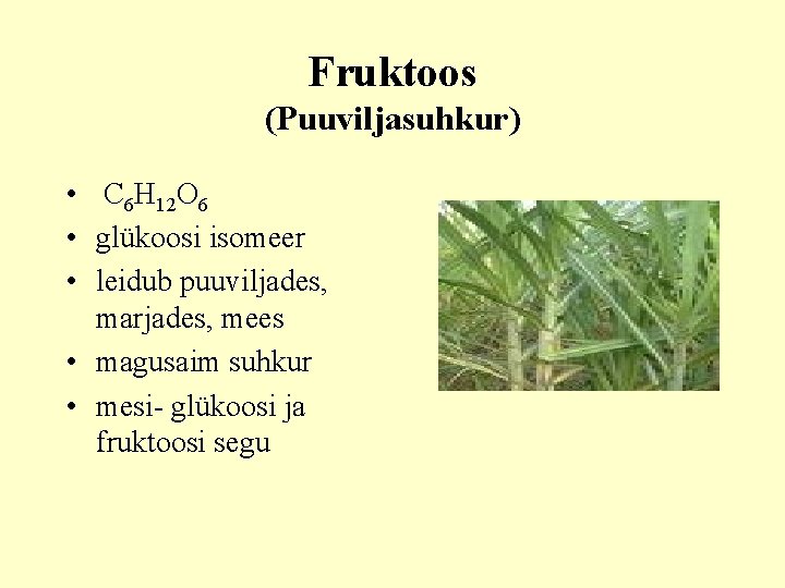 Fruktoos (Puuviljasuhkur) • C 6 H 12 O 6 • glükoosi isomeer • leidub