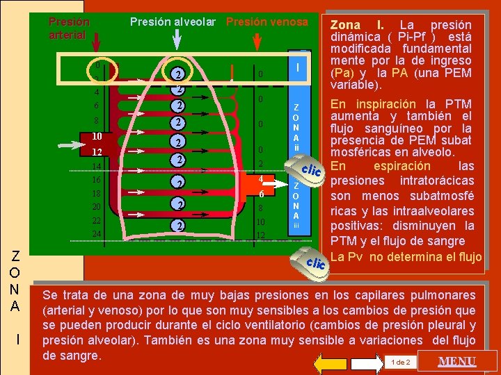 Presión arterial Presión alveolar Presión venosa 0 2 4 6 8 10 12 14