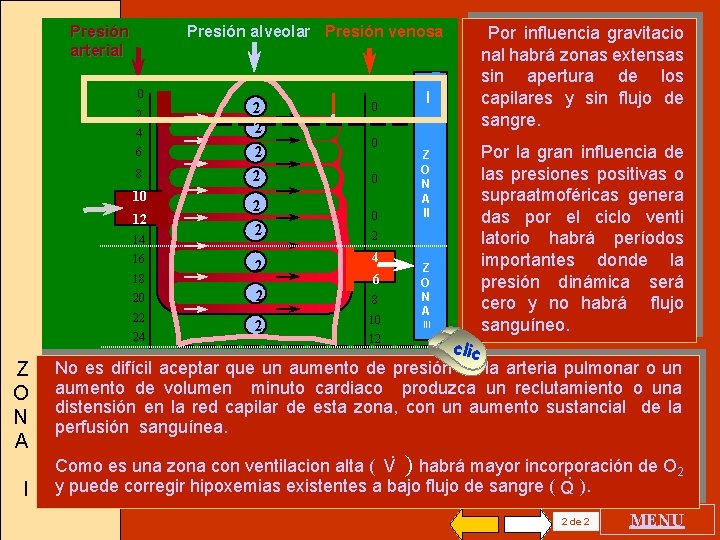 Presión arterial Presión alveolar Presión venosa 0 2 4 6 8 10 12 14