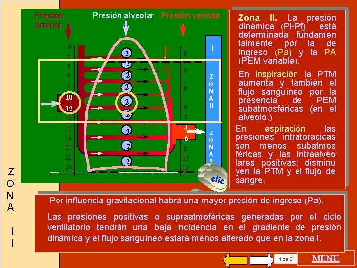 Presión arterial Presión alveolar Presión venosa 0 2 4 6 8 10 12 14