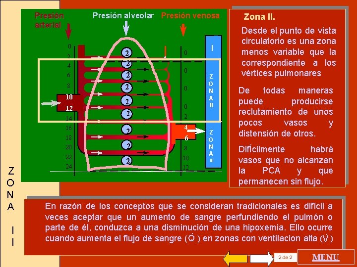 Presión arterial Presión alveolar Presión venosa 0 2 4 6 8 10 12 14