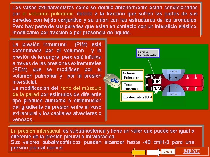 Los vasos extraalveolares como se detalló anteriormente están condicionados por el volumen pulmonar, debido