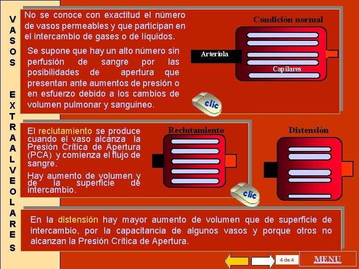 No se conoce con exactitud el número Condición normal V de vasos permeables y