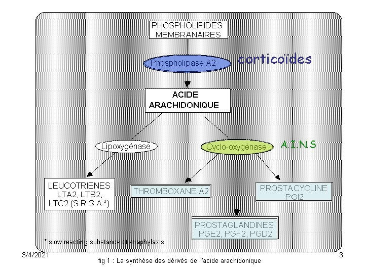 corticoïdes A. I. N. S 3/4/2021 3 corticoïdes A. I. N. S 3/4/2021 3