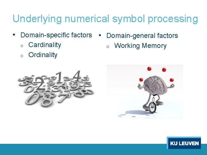 Underlying numerical symbol processing • Domain-specific factors • Domain-general factors o o Cardinality Ordinality