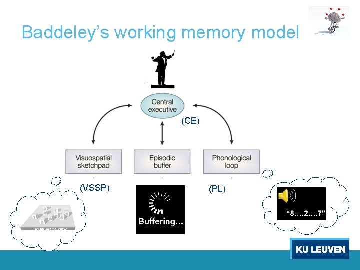 Baddeley’s working memory model (CE) (VSSP) (PL) 