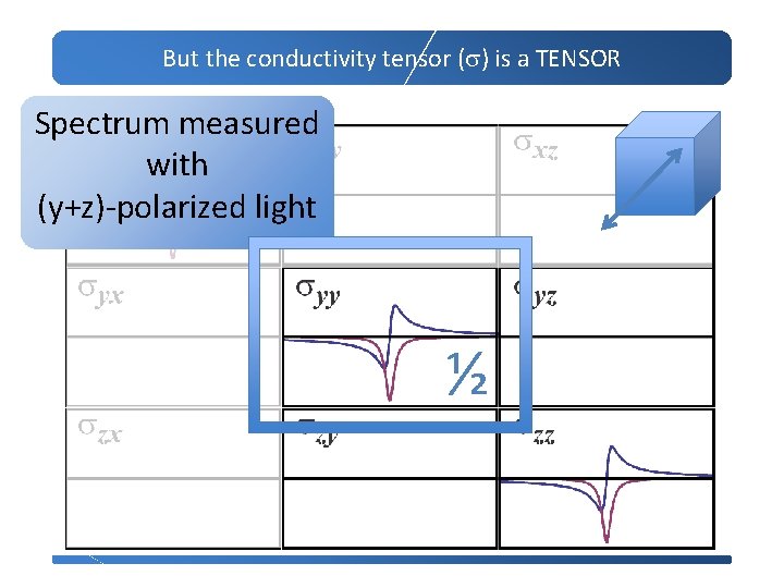 But the conductivity tensor (s) is a TENSOR Spectrum measured with (y+z)-polarized light ½