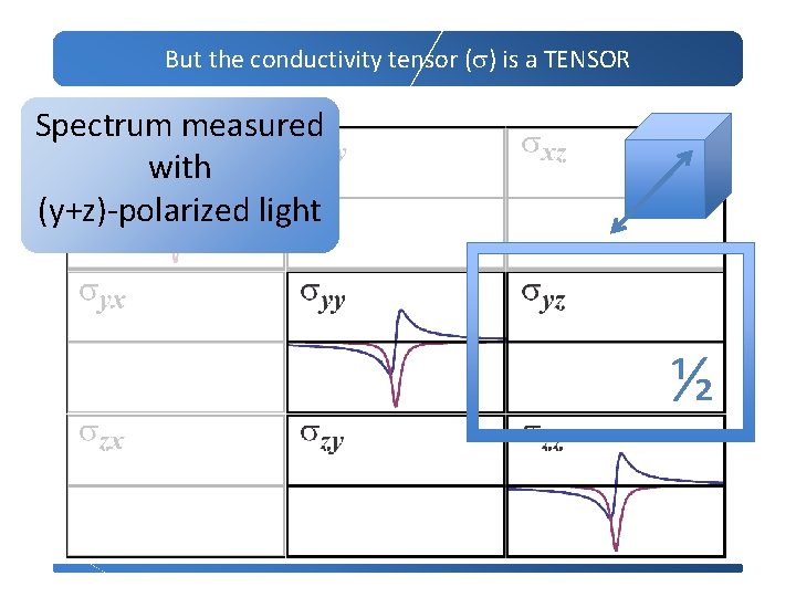 But the conductivity tensor (s) is a TENSOR Spectrum measured with (y+z)-polarized light ½