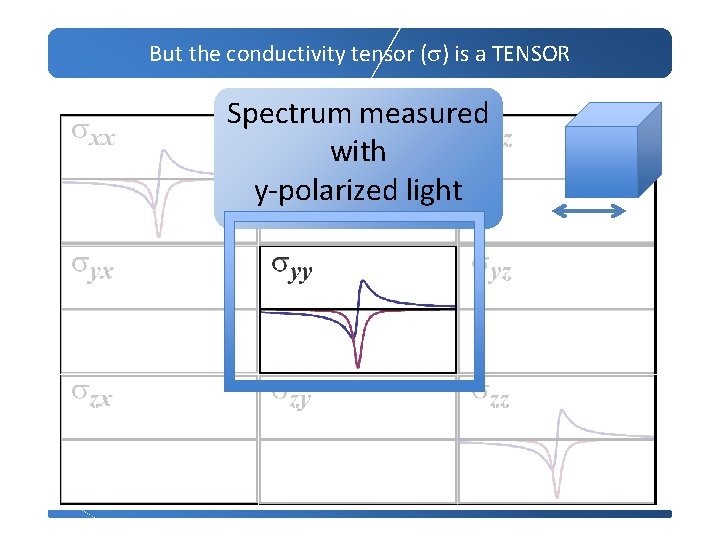 But the conductivity tensor (s) is a TENSOR Spectrum measured with y-polarized light 